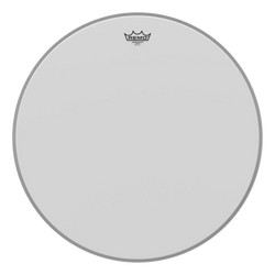 Remo Ambassador - 24