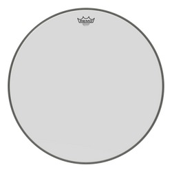 Remo Ambassador 22
