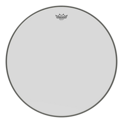 Remo Ambassador - 24