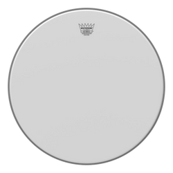 Remo Ambassador - 18